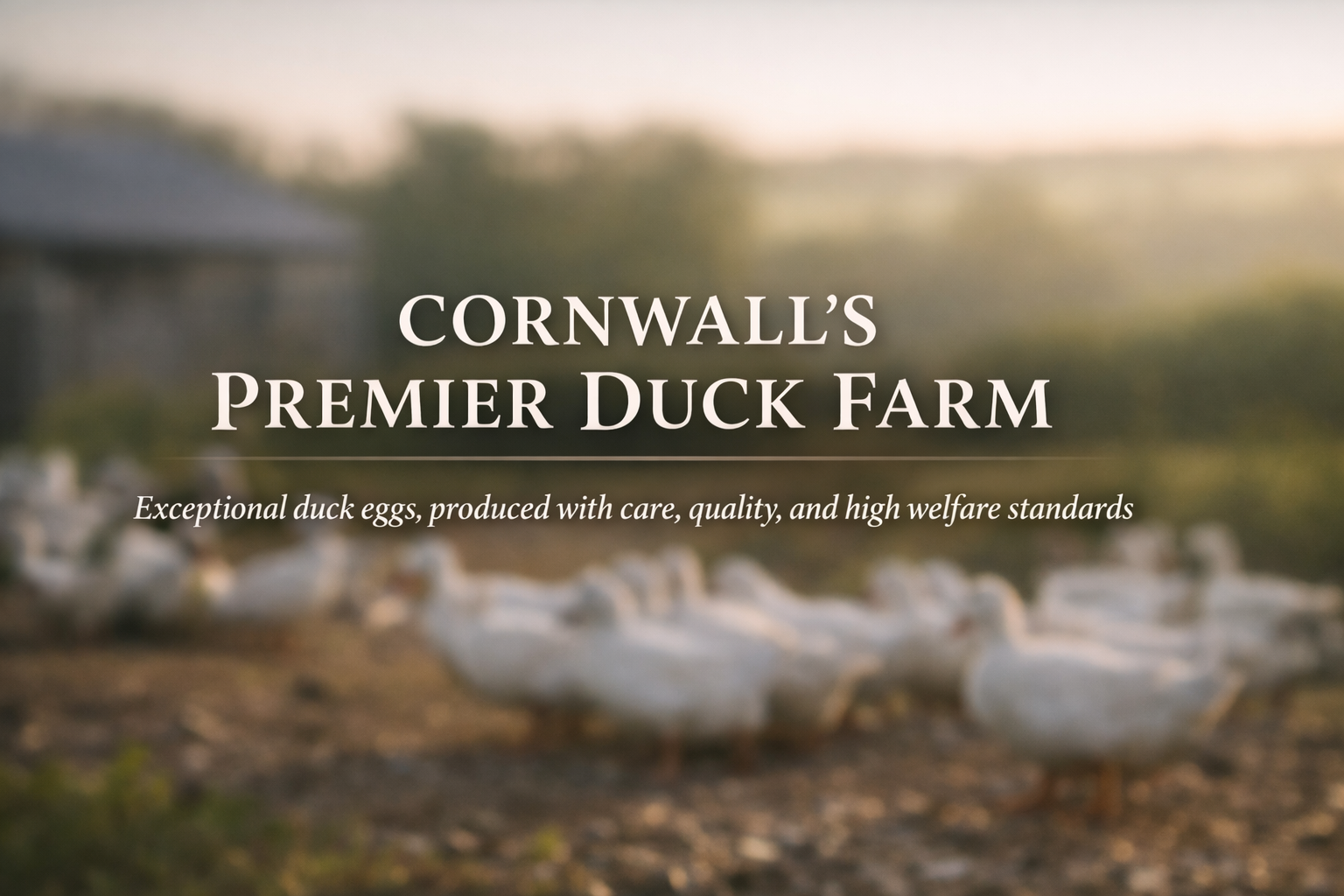 5617C869-B574-4E3C-B24A-6DAE9A4A4692(1)