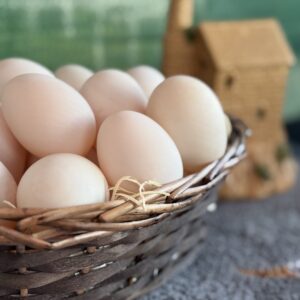 fresh cornish duck eggs